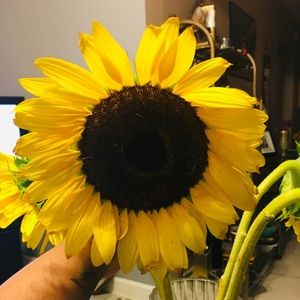 Meet your Posher, Kiara